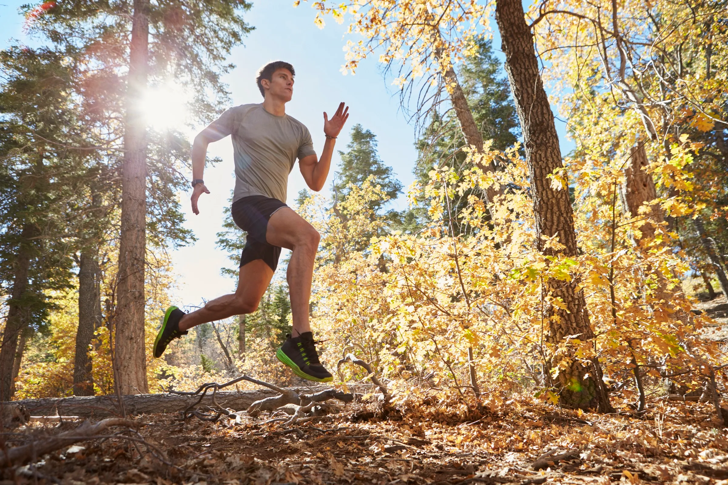 Hardloper springt over een boomstam in het bos